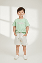 Conjunto Camiseta Estampa Costas E Bermuda Verde E Cinza Abrange