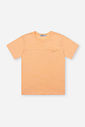Conjunto Infantil Camiseta Flamê e Bermuda Tropical Laranja