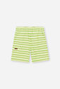 Conjunto Infantil Menino Polo e Bermuda Listrada Flour