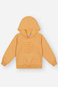 Blusão Raglan Infantil Menino Pollen Divertto