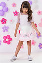 CJ TOP,SAIA/SHORTS,SOBREPOSICA NAT/LL CINTI/LL CINT