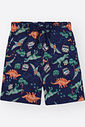 Conjunto Infantil Menino Dino World Divertto