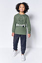 Camiseta Dragon Infantil Menino Thoothless Roaring Divertto