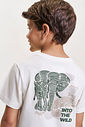 Conjunto Infantil Camaleão com Camiseta e Bermuda Musgo