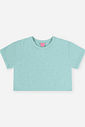 Conjunto Infantil Menina Cropped e Saia-Short com Strass Brisa
