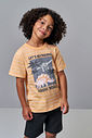Camiseta Infantil Menino Dinossauros em Meia Malha Laranja