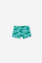 Conjunto Infantil Tubarões com Camiseta UV e Sunga Boxer Brisa