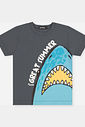 Conjunto Menino Camiseta Tubarão e Bermuda Sereno