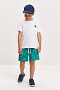 Conjunto Infantil Menino Camiseta e Bermuda com Tennis Verde