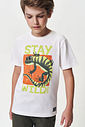 Conjunto Menino Camiseta Lagardo e Bermuda Musgo