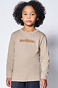 Camiseta Dragon Infantil Menino Fúria da Noite Divertto