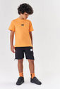 CAMISETA LJ NECTARINE