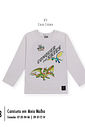 Camiseta Dragon Infantil Menino Conquer The Skies Divertto