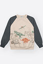 Conjunto Infantil Menino Dinosaur Explorer Divertto
