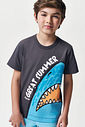 Conjunto Menino Camiseta Tubarão e Bermuda Sereno