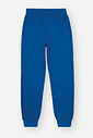 Conjunto Infantil Menino Dinosaur Estampa Costas Azul CTV