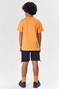 CAMISETA LJ NECTARINE