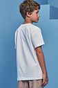 Camiseta em meia malha 98661 Johnny Fox Teen Menino
