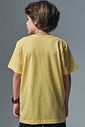 Camiseta em meia malha 96642 Johnny Fox Teen Menino Camiseta em meia malha 96642 Johnny Fox Teen Menino