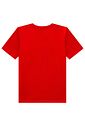 Camiseta em meia malha 97811 Johnny Fox Teen Menino