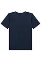 Camiseta em meia malha 98661 Johnny Fox Teen Menino