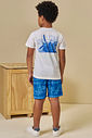 Conjunto de camiseta em meia malha e bermuda em nylon ergonomic com elastano 94565 LucBoo Infantil Menino