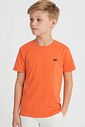Camiseta em meia malha 94542 LucBoo Infantil Menino Camiseta em meia malha 94542 LucBoo Infantil Menino