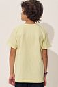 Camiseta em meia malha 97559 Johnny Fox Teen Menino