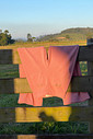 CALÇA MONTANA - Peônia Rosé CALÇA MONTANA - Peônia Rosé