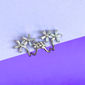 BRINCO EAR HOOK FLOR ZIRCONIA