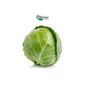 Repolho Verde Orgânico