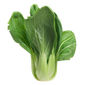Bok Choy Orgânico (Acelga Chinesa ou Chinesinha)