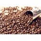 Café Agroflorestal Diamante Da Chapada GRÃOS GRANEL - 100g Café Agroflorestal Diamante Da Chapada GRÃOS GRANEL - 100g