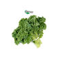 Couve Kale Orgânica