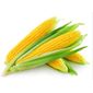 Bandeja Espigas De Milho Verde - 500g Bandeja Espigas De Milho Verde - 500g