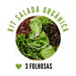 KIT Salada Orgânica KIT Salada Orgânica