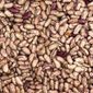 Feijão Rajado Orgânico - 500g