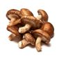 Cogumelo Shiitake Orgânico - 120G Cogumelo Shiitake Orgânico - 120G
