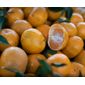 Mexirica Orgânica - 1Kg Mexirica Orgânica - 1Kg