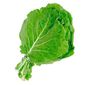 Couve Orgânica