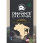 Café Agroflorestal Diamante Da Chapada GRÃOS GRANEL - 100g Café Agroflorestal Diamante Da Chapada GRÃOS GRANEL - 100g