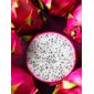 Pitaya Branca Orgânica - Unidade GRANDE Pitaya Branca Orgânica - Unidade GRANDE