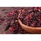 Hibisco Orgânico GRANEL - 100g Hibisco Orgânico GRANEL - 100g