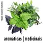 Maço de Ervas Aromáticas & Medicinais
