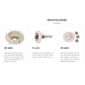 RP-0138 - REPARO PLANETARIA BOSCH, COROLLA, VECTRA, RENAULT, CLIO, CITROEN (EMB. COM 01 KIT - VALOR DO KIT) - KIT