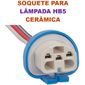 ISO6S.7787-02 - CHICOTE 3 VIAS - SOQUETE LAMPADA HB1/ HB5 CERAMICA (EMB. COM 01 PECA - VALOR UNITARIO) - PC ISO6S.7787-02 - CHICOTE 3 VIAS - SOQUETE LAMPADA HB1/ HB5 CERAMICA (EMB. COM 01 PECA - VALOR UNITARIO) - PC