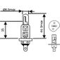 GLH002H1 12V SB - LAMP. H1 12V 55W SUPER BRANCA - UN