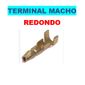ISO1900029 - TERMINAL MACHO REDONDO COM 50 UNIDADES - VALOR UNITARIO - PC