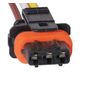 C303.7892 - CHICOTE 03 VIAS BOBINA FIAT PALIO/ SIENA/ GM/ CORSA (EMB. COM 01 PECA - VALOR UNITARIO) - PC C303.7892 - CHICOTE 03 VIAS BOBINA FIAT PALIO/ SIENA/ GM/ CORSA (EMB. COM 01 PECA - VALOR UNITARIO) - PC
