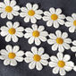 RG 1149 - RENDA GUIPIR AMARELO - PREÇO POR PACOTE RG 1149 - RENDA GUIPIR AMARELO - PREÇO POR PACOTE